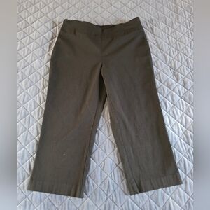 Womens Dana Buchman Stylish Black Stretch Capris Sz Med